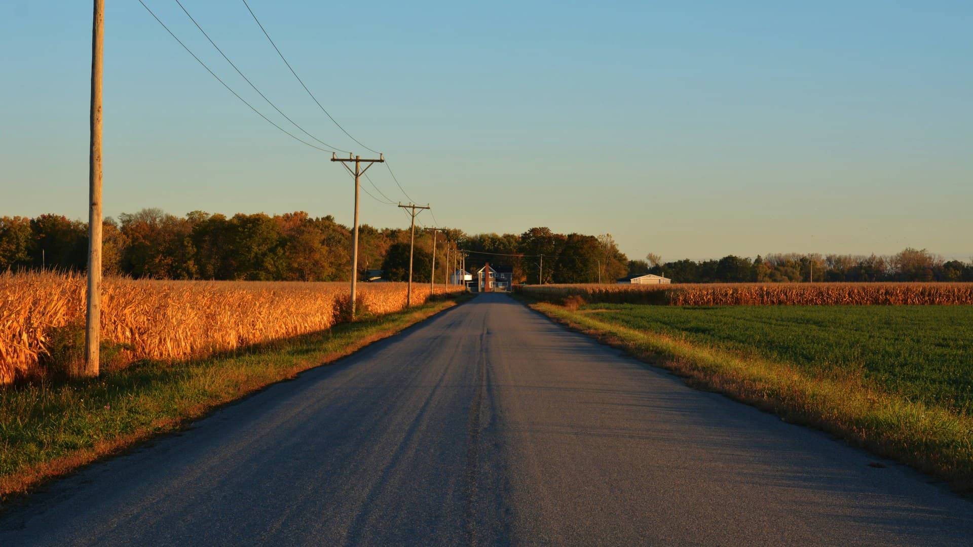 A long, empty country road between a field of golden corn and a green field in the low evening light, with a farmhouse at the far end.